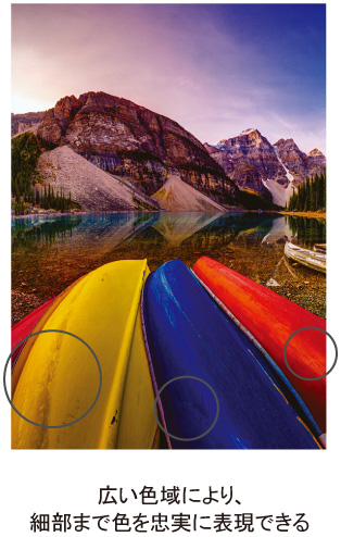 図：広い色域により、細部まで色を忠実に表現できる