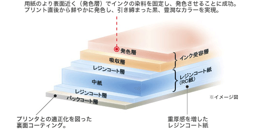 図:インク受容層:発色層、吸収層。用紙のより表面近く(発色層)でインクの染料を固定し、発色させることに成功。プリント直後から鮮やかに発色し、引き締まった黒、豊潤なカラーを実現。レンジコート紙(RC紙)レンジコート層、中紙、レンジコート層。重厚感を増したレンジコート紙。バックコート層。プリンタとの適正化を図った裏面コーティング。