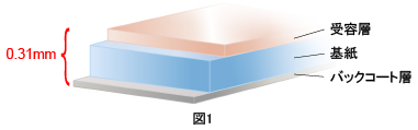 図1:厚み0.31mm