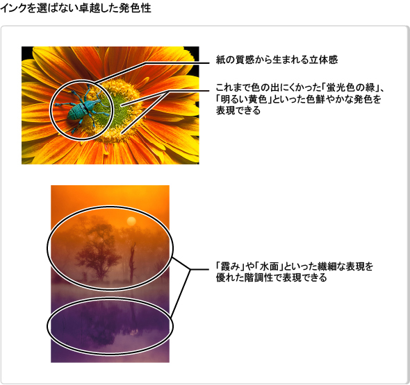 図:インクを選ばない卓越した発色性