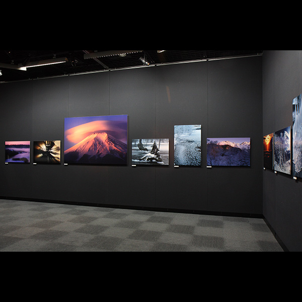 2025年最新】Yahoo!オークション -月山 絵画の中古品・新品・未
