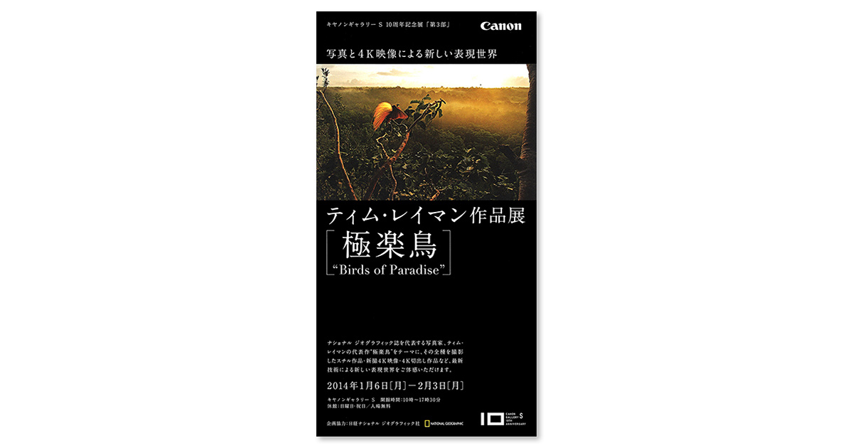 第92回展 ティム・レイマン「極楽鳥 