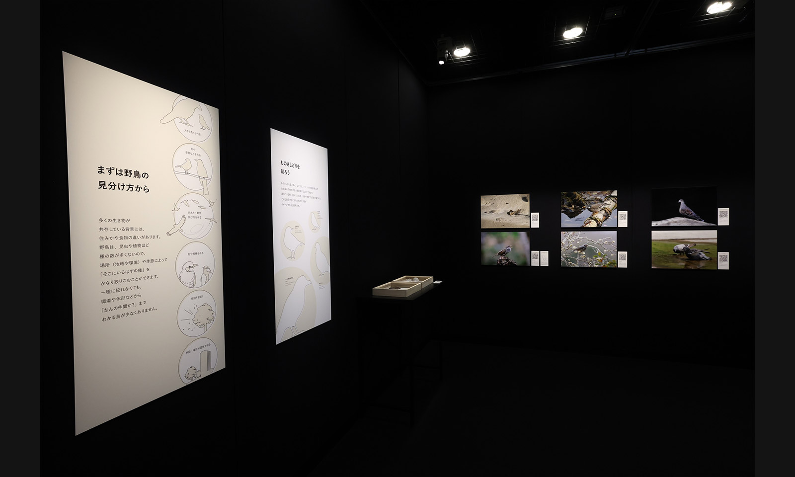 Canon オブジェ写真展出展の副賞です GRAPHGATE企画展 オカダキサラ写真展 「きっと今も光って」 会期