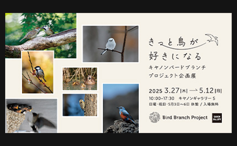 Canon オブジェ写真展出展の副賞です - メルカリ