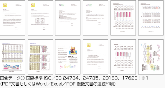 画像データ3 国際標準 ISO／EC 24734、24735、29183、17629：※1（PDF文書もしくはWord／Excel／PDF 複数文書の連続印刷） 